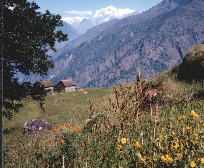 Shringi Himal on descent to the Buri Gandaki