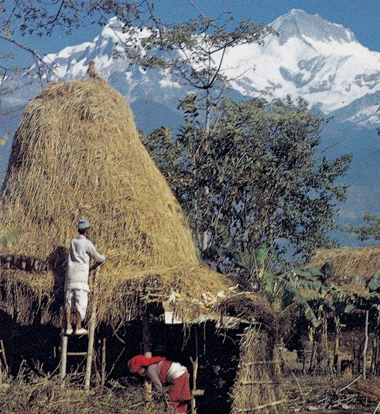 Farmhouses and Himalchuli on route to Ganpokhara