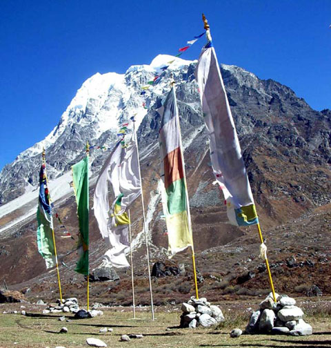 Mt.Langshisa Ri from Langshisa Kharka in the Langtang Valley