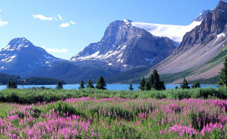 Bow Lake in Banff National Park, Alberta, Canada