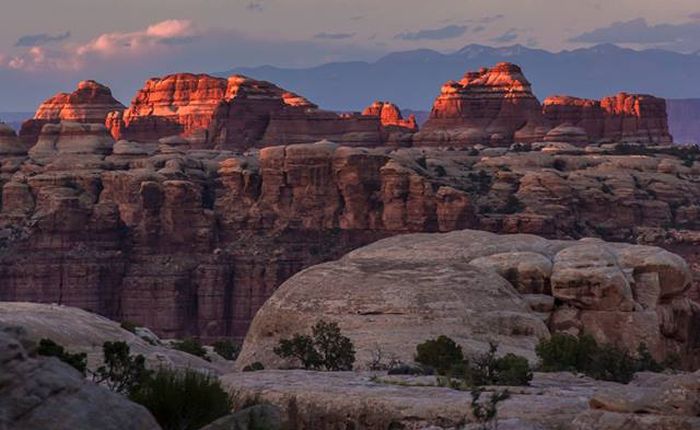 Sandstone Pinnacles in the Needles District of Canyonlands National Parkon the trail from Elephant Hill to Chesler Park