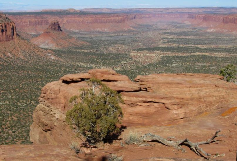 Overlook from Island in the Sky, Canyonlands