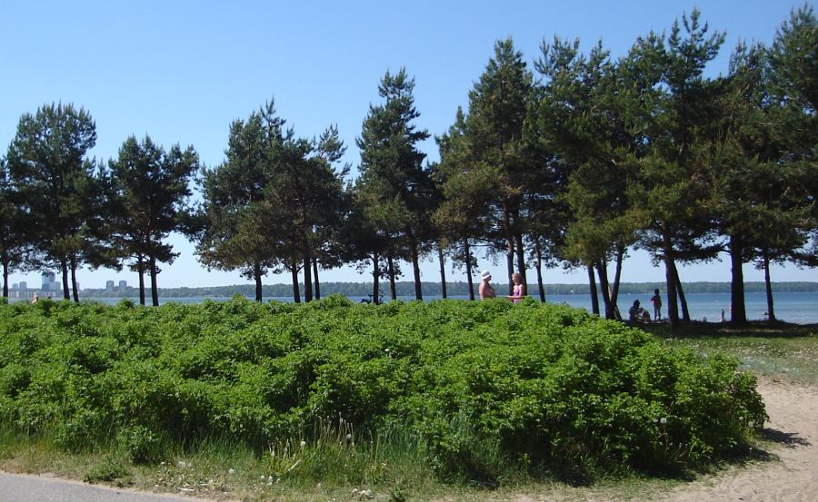 Waterfront at Kopli Bay