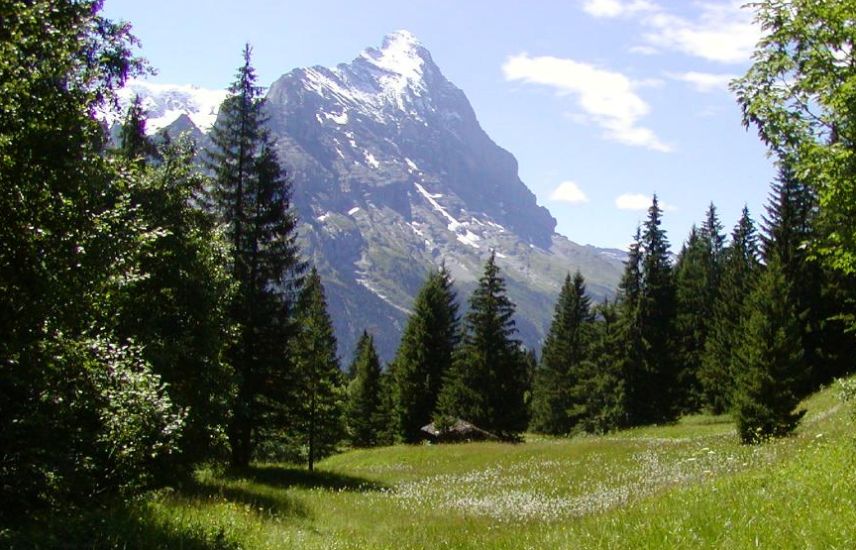 The Eiger - Mittellegi Ridge and North Face in the Bernese Oberlands of the Swiss Alps