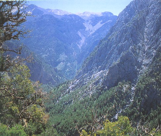 Samaria Gorge on Greek Island of Crete