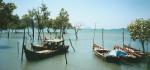 Langkawi_mangroves.jpg