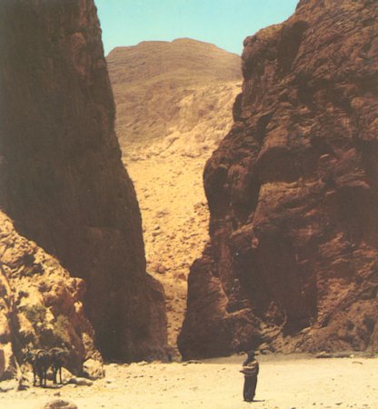 Todra Gorge in the sub-sahara