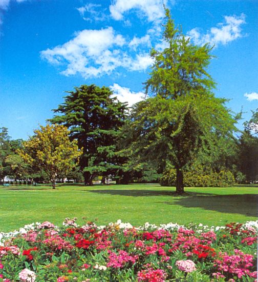 Botanic Gardens in Christchurch