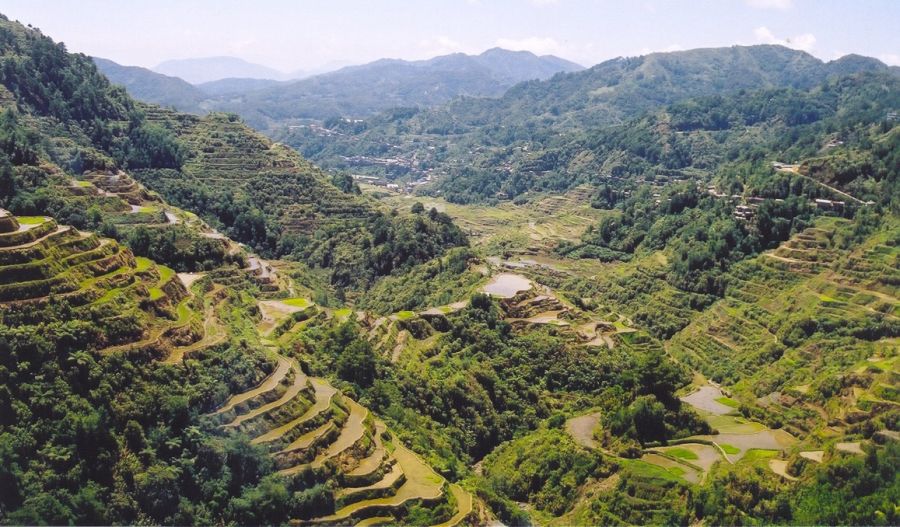 Banaue rice terraces