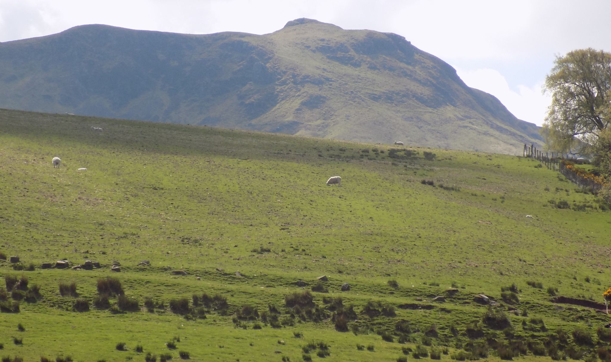 Campsie Fells above Ballikinrain Castle