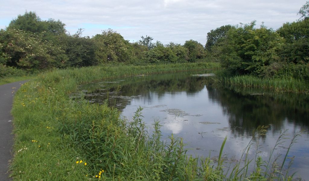 Forth and Clyde Canal at Westerton