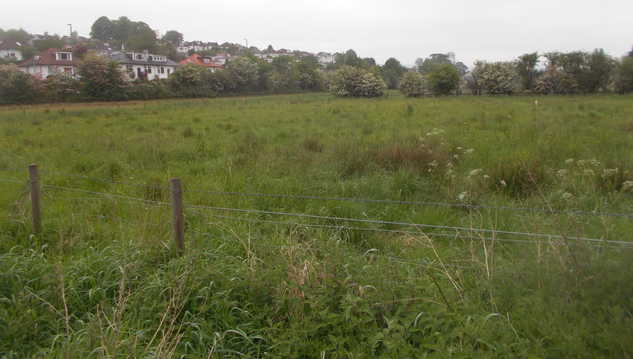 Fields at Hillfoot in Bearsden