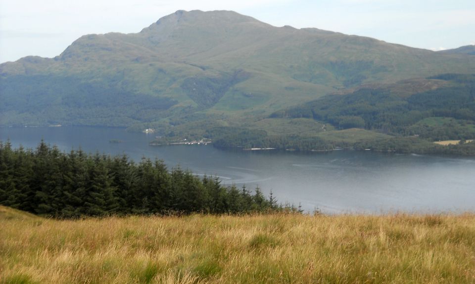 Ben Lomond from Beinn Dubh