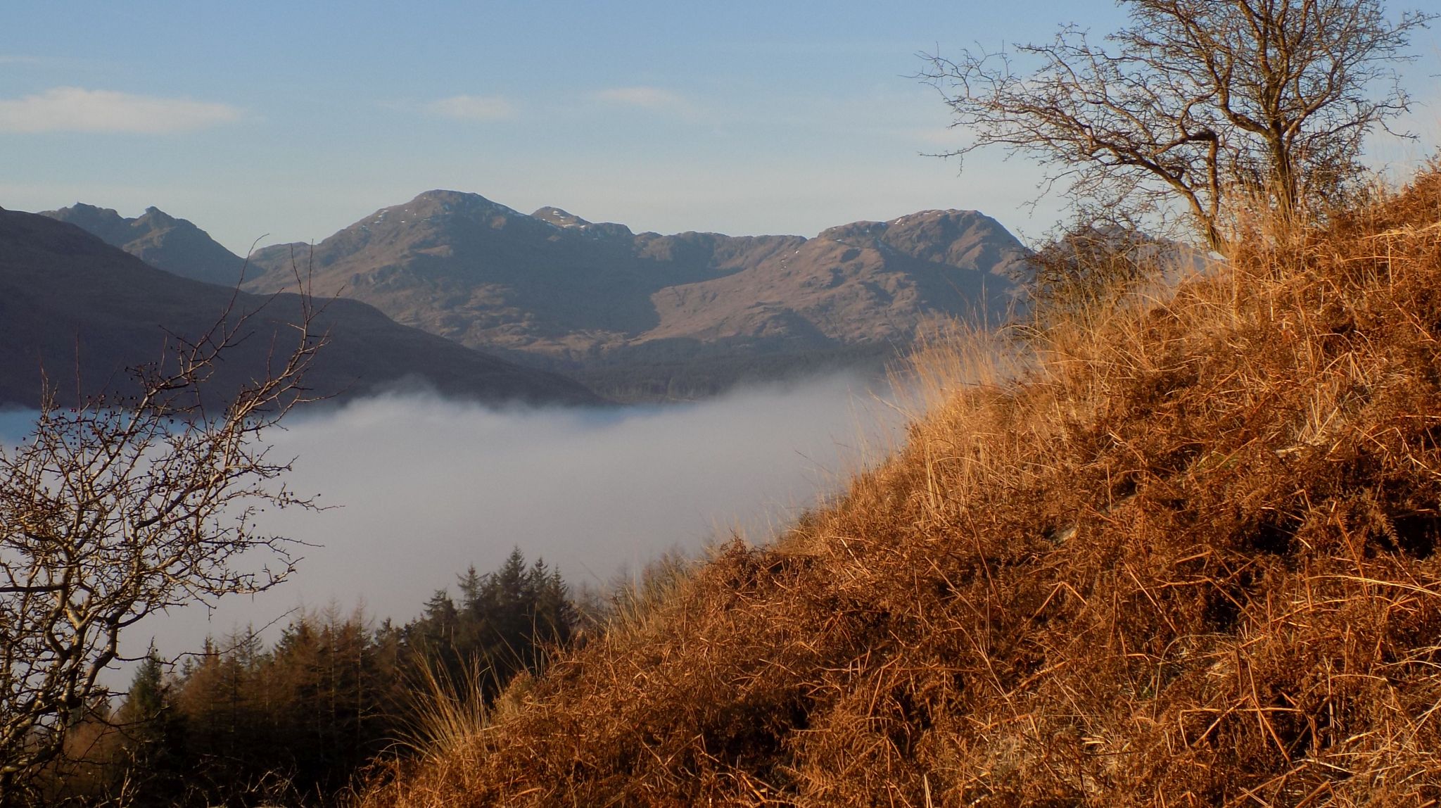 Ben Arthur ( The Cobbler ), Beinn Narnain and A'Chrois on descent from Ben Lomond