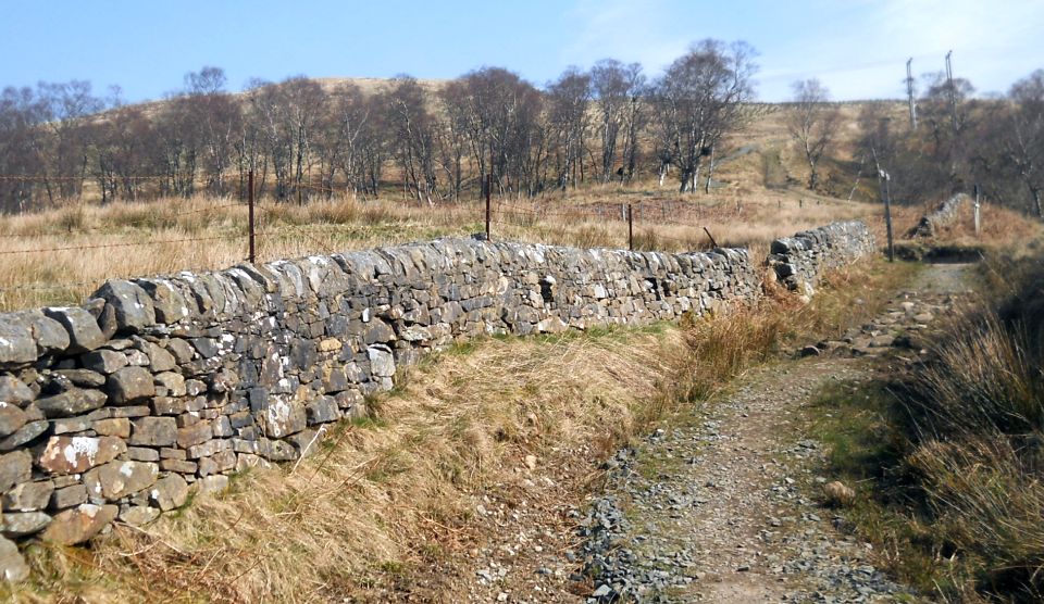 Public path from Craigendoran to Balloch