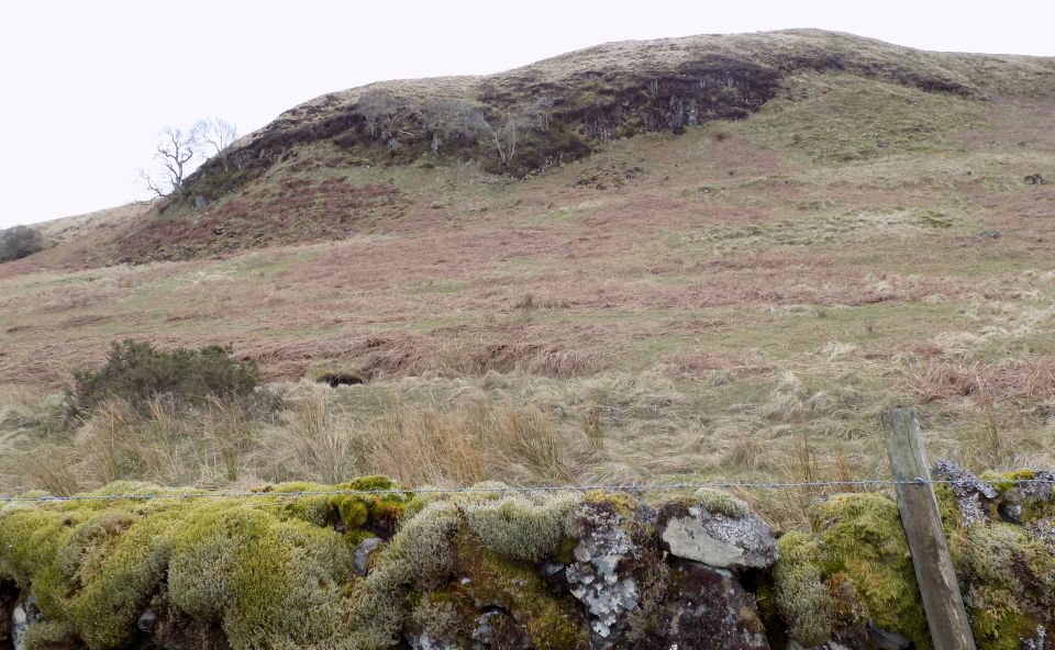 Outcrop on Dumbarton Muir