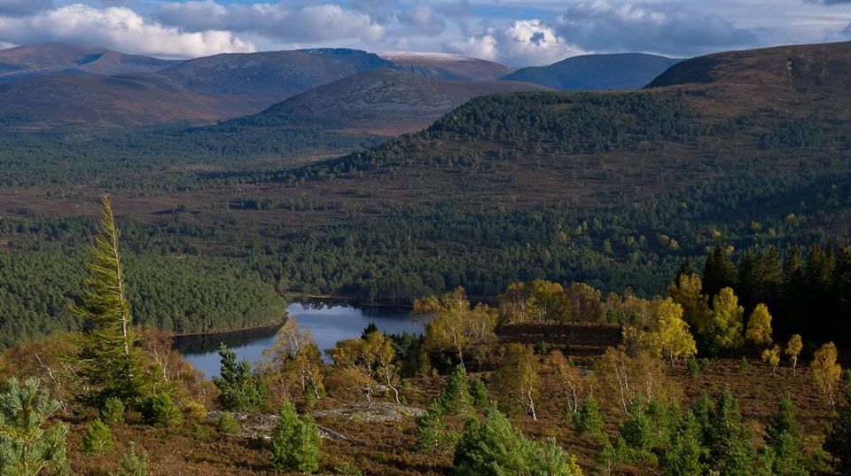 Loch Morlich in the Cairngorms of Scotland