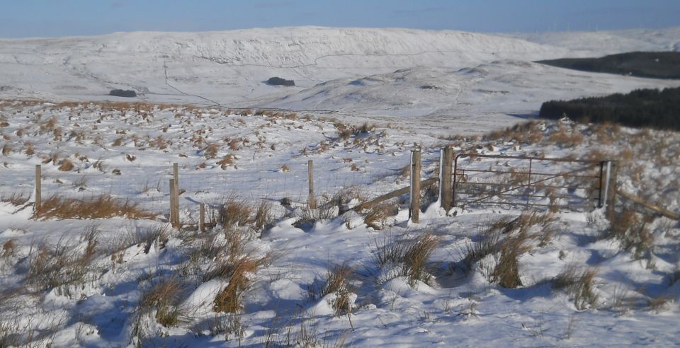 Fintry Hills from the Campsie Fells