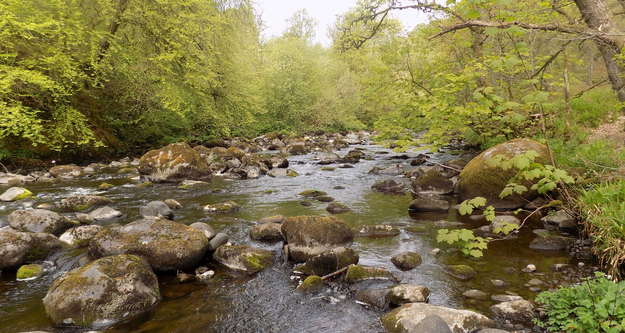 Carron River