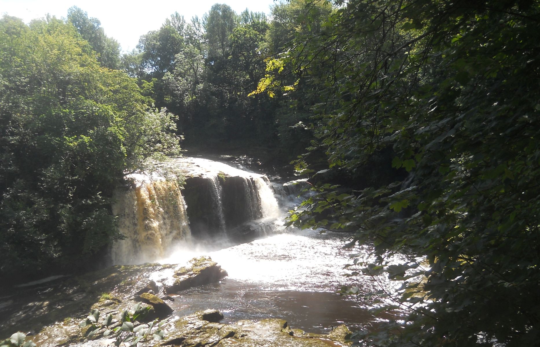 The Falls of Clyde