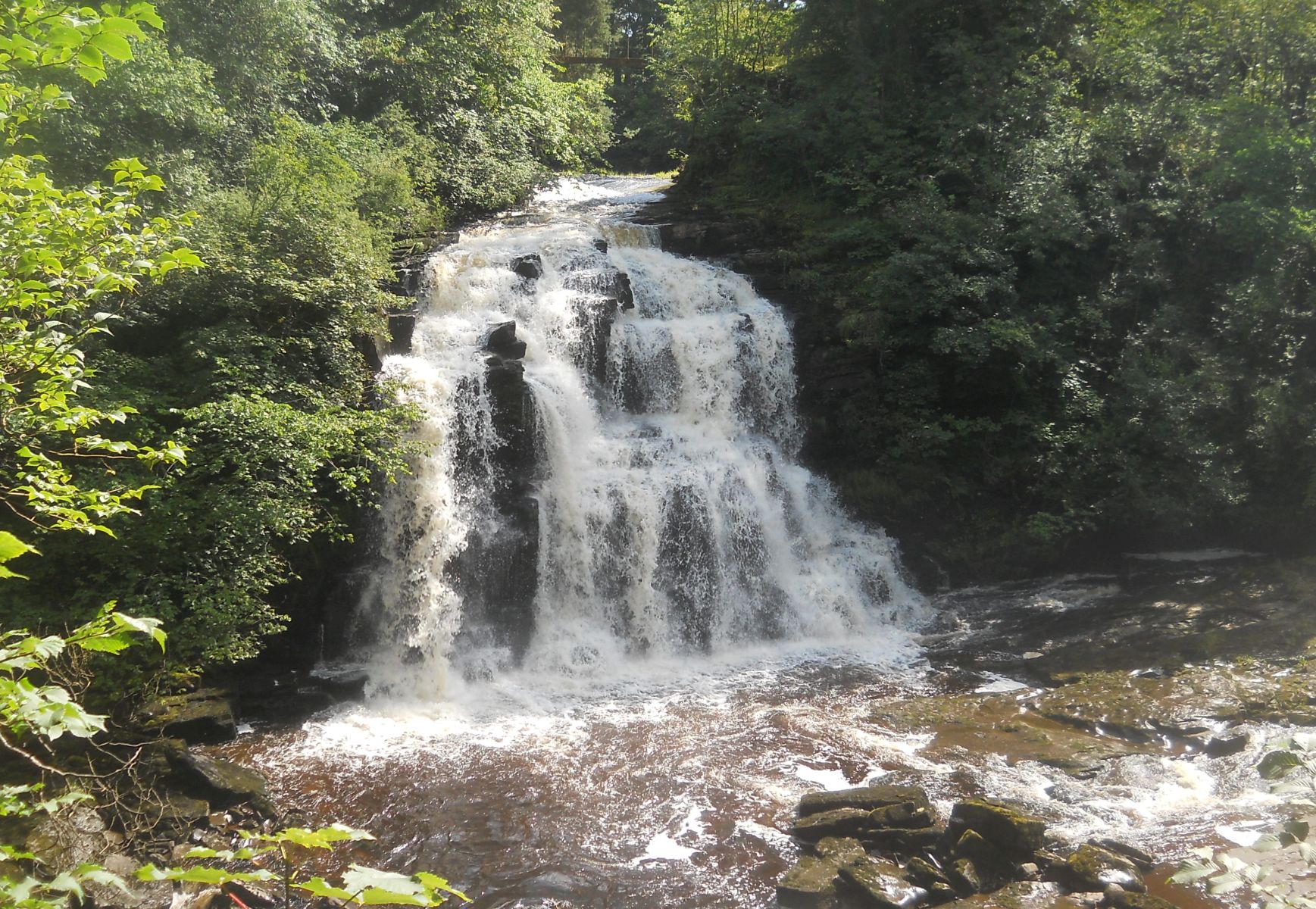 The Falls of Clyde