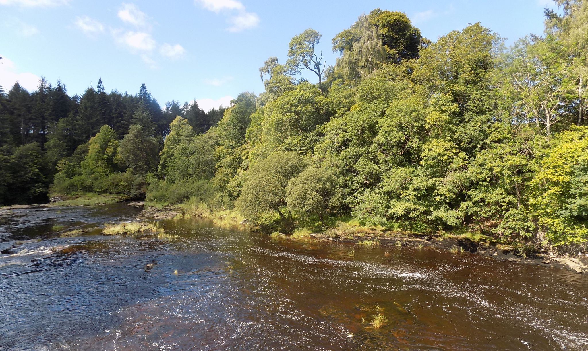 River Clyde below Bonnington Linn bridge