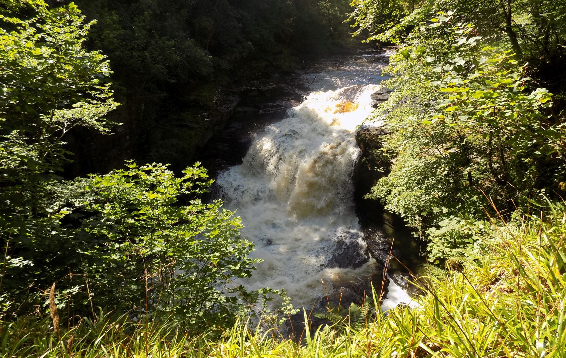 The Falls of Clyde