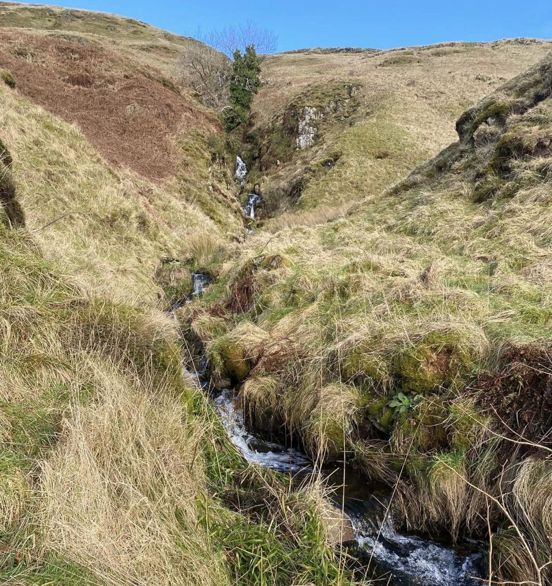 Gully and waterfalls on the Campsie Fells