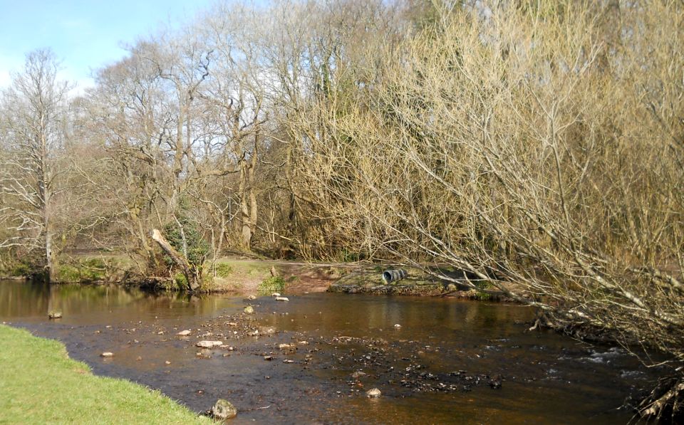 Allander River alongside the West Highland Way from Milngavie