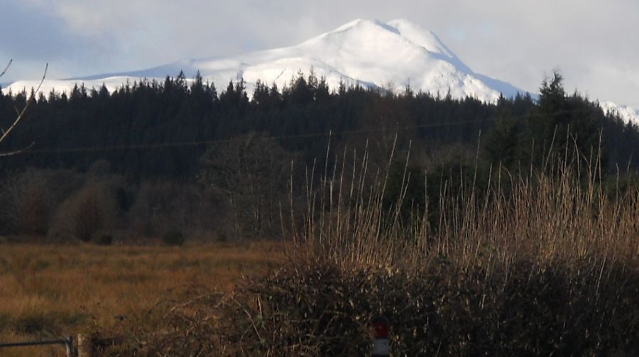 Ben Lomond from the outskirts of Aberfoyle