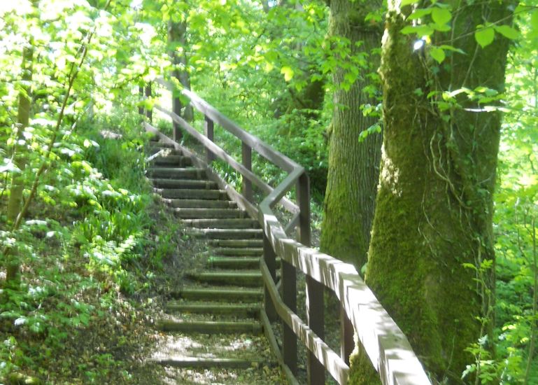 Walkway in Dams to Darnley Country Park