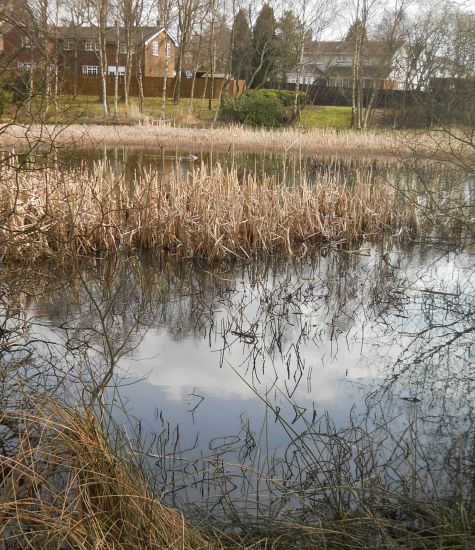 Dougalston Loch