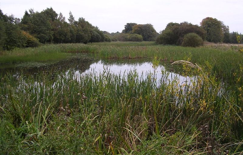 Dougalston Loch