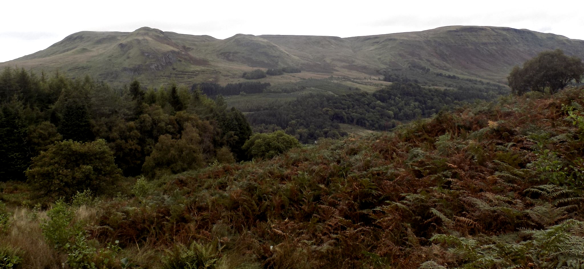 Campsie Fells from Quinloch Muir