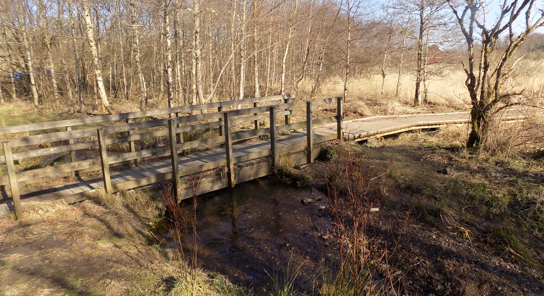 Walkway at Dumbreck Marsh