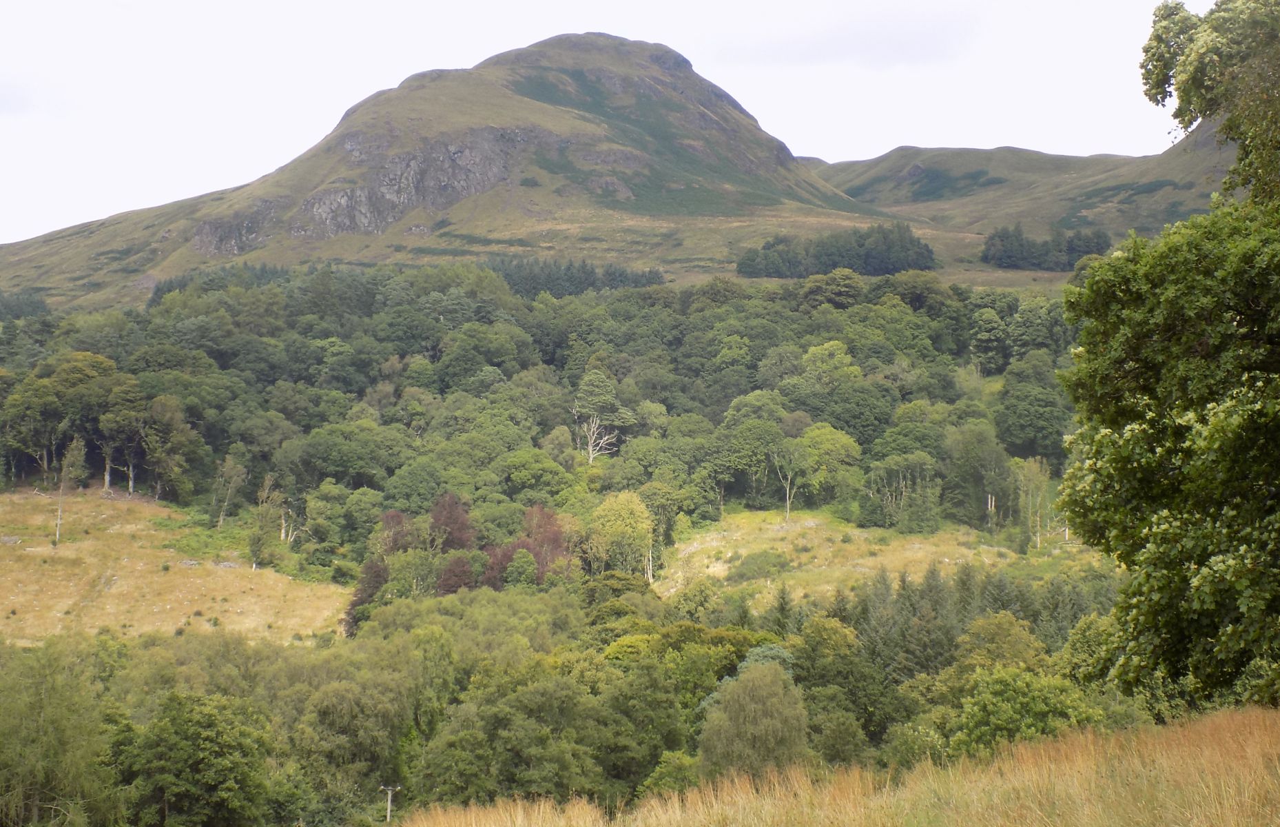 Dumgoyne from Dumgoyach