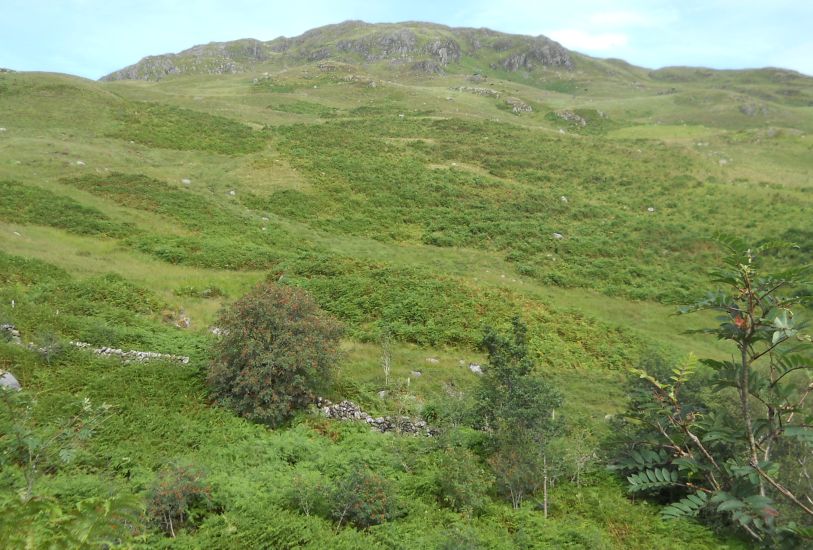 Buchan Hill above the ascent route to The Merrick