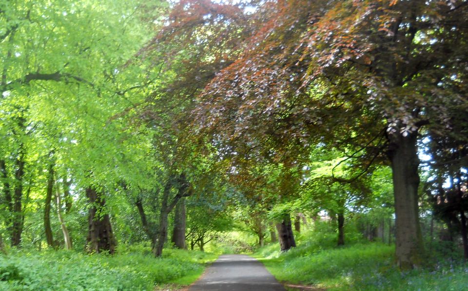 Driveway in Garscube Estate from North Lodge on Maryhill Road