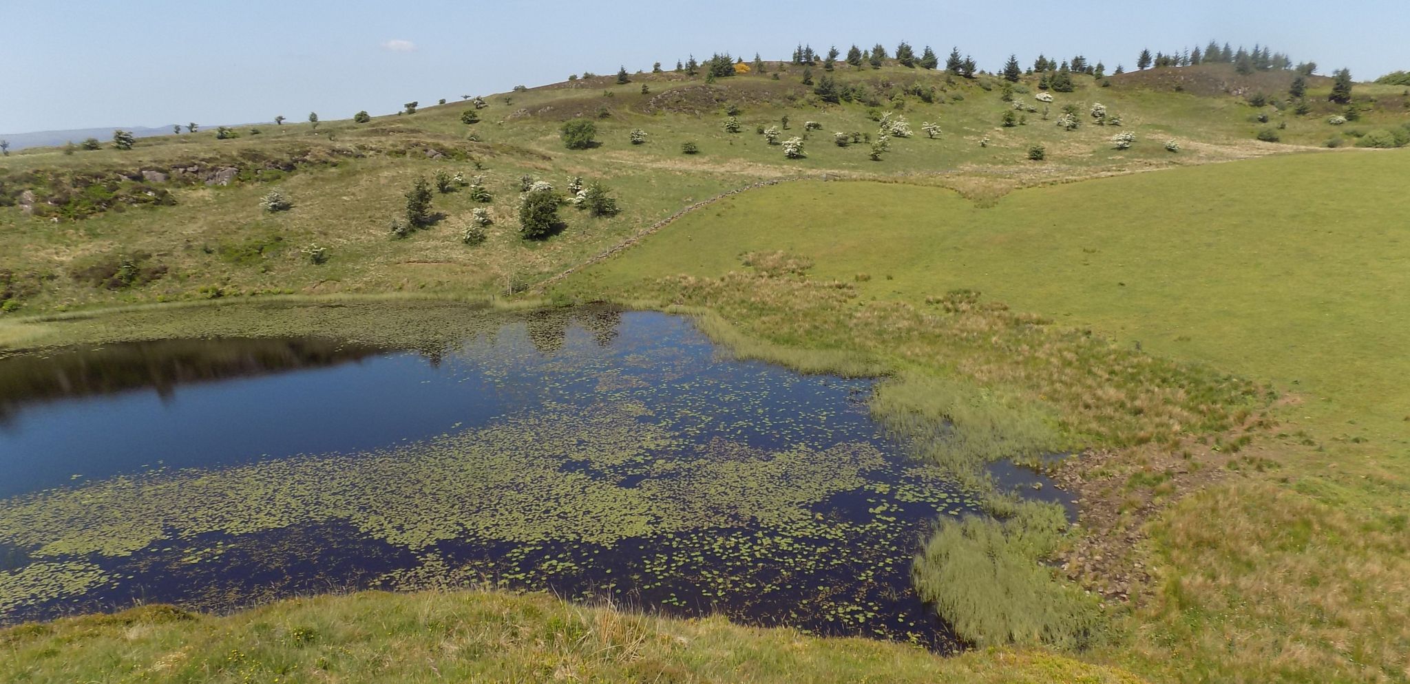 Loch Walls beneath Broadfield Hill