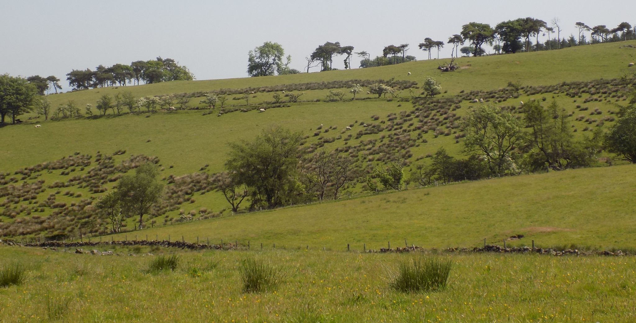 On descent from Northcastle Walls