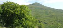 DSCN3335.JPG