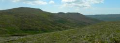 DSCN3341.JPG