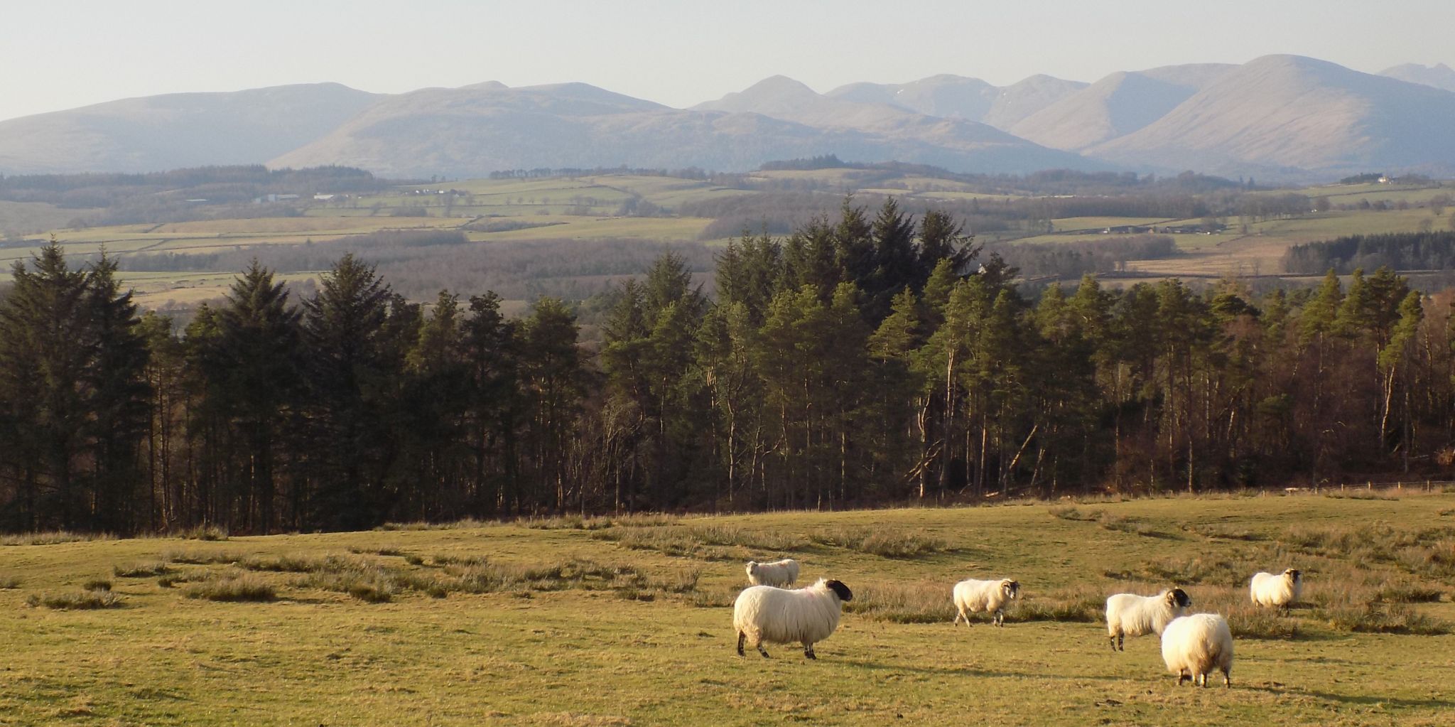 Luss Hills from Gallangad Muir