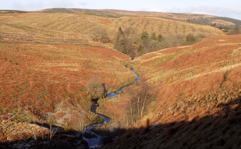 Burn on Dumbarton Muir