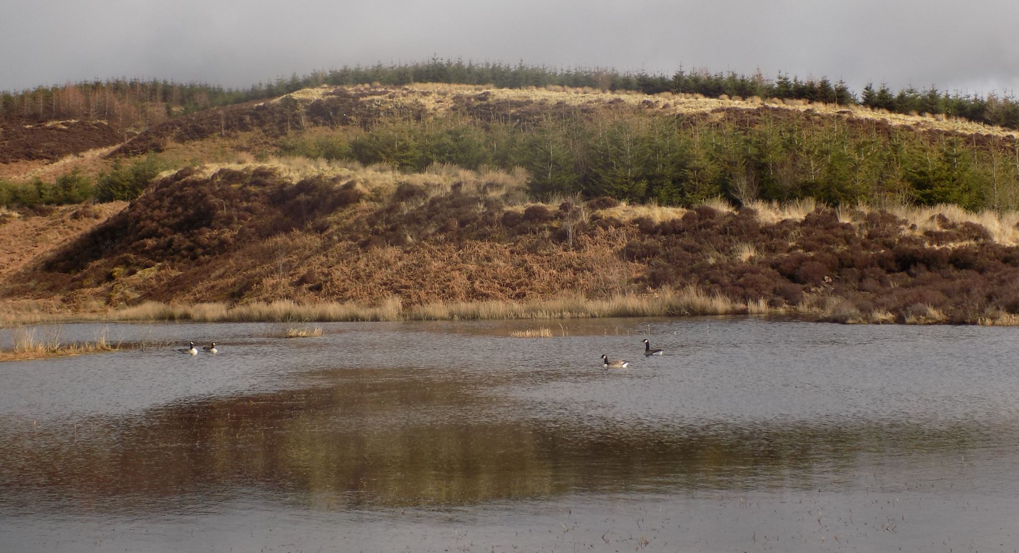 Lochan above Greenan Glen