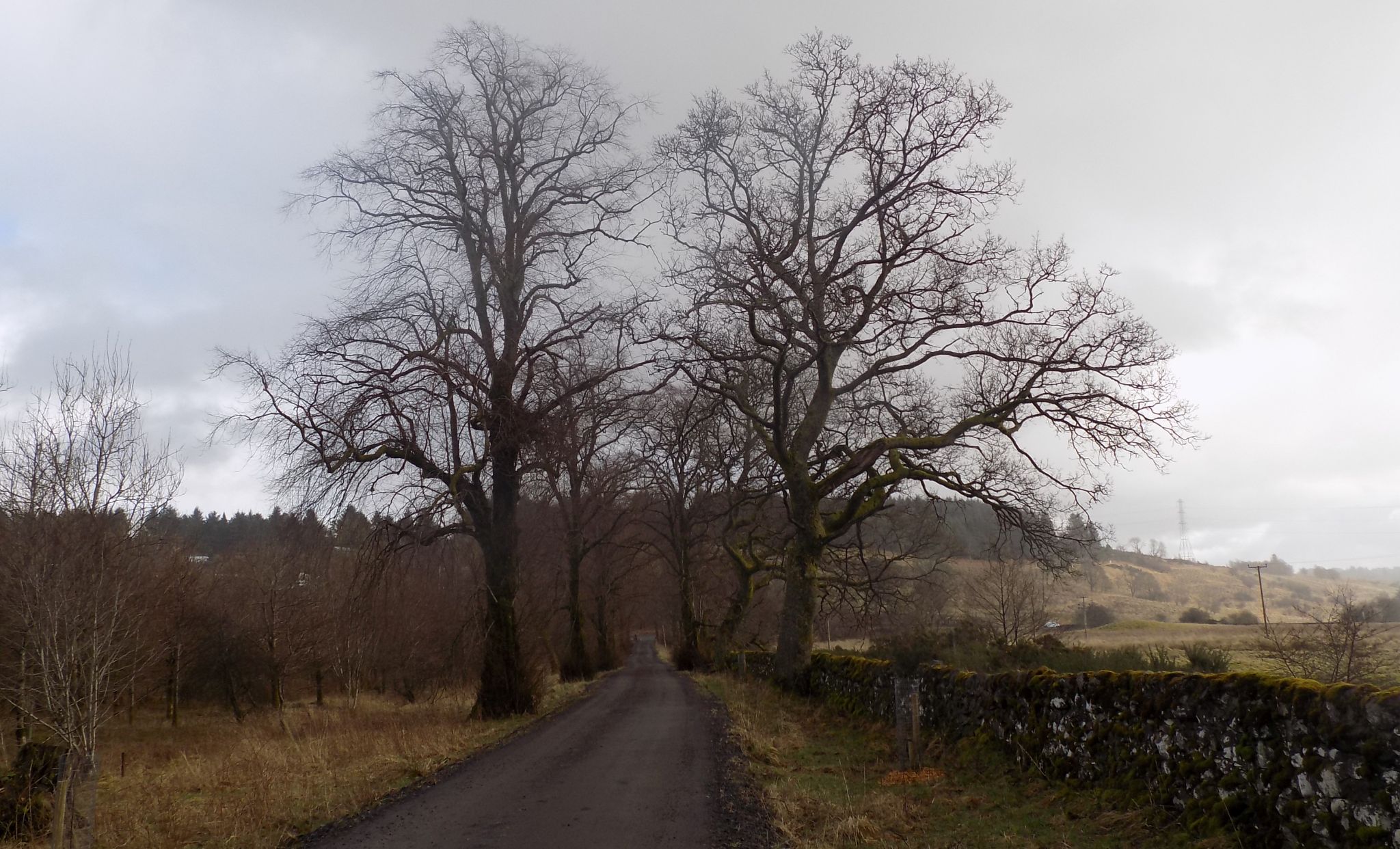 Track to Kilmannan Reservoir