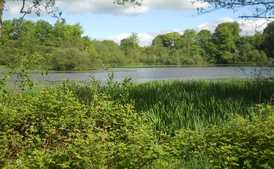 Kilmardinny Loch in Bearsden