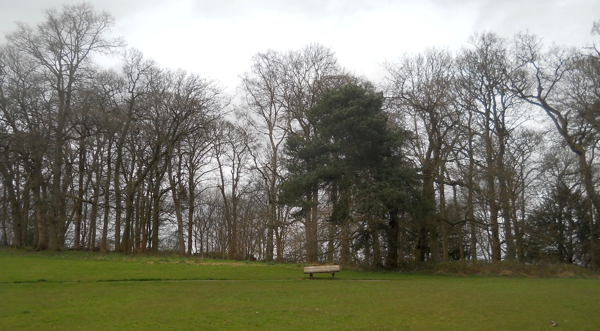 Woodlands at Kilmardinny Loch in Bearsden