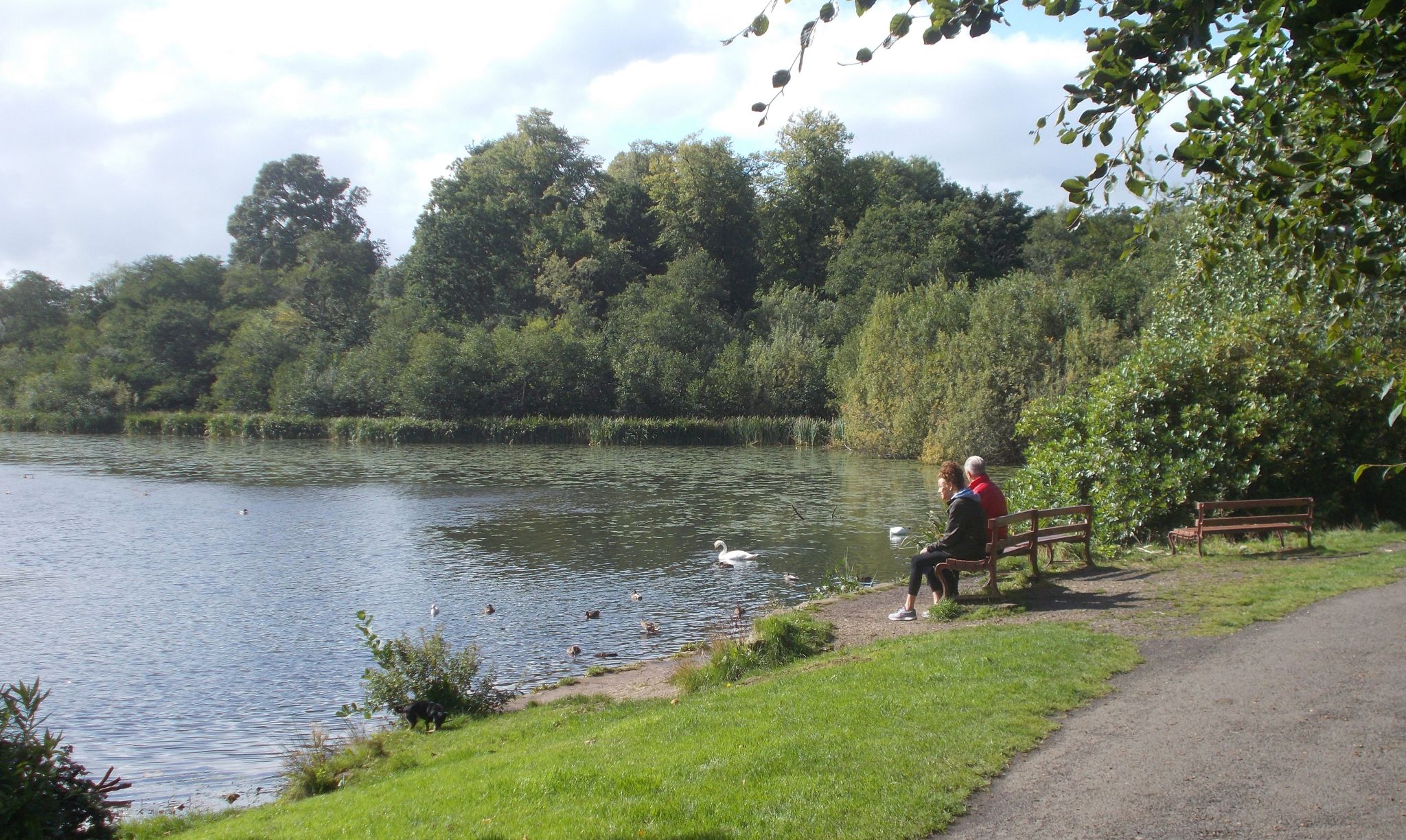 Kilmardinny Loch in Bearsden