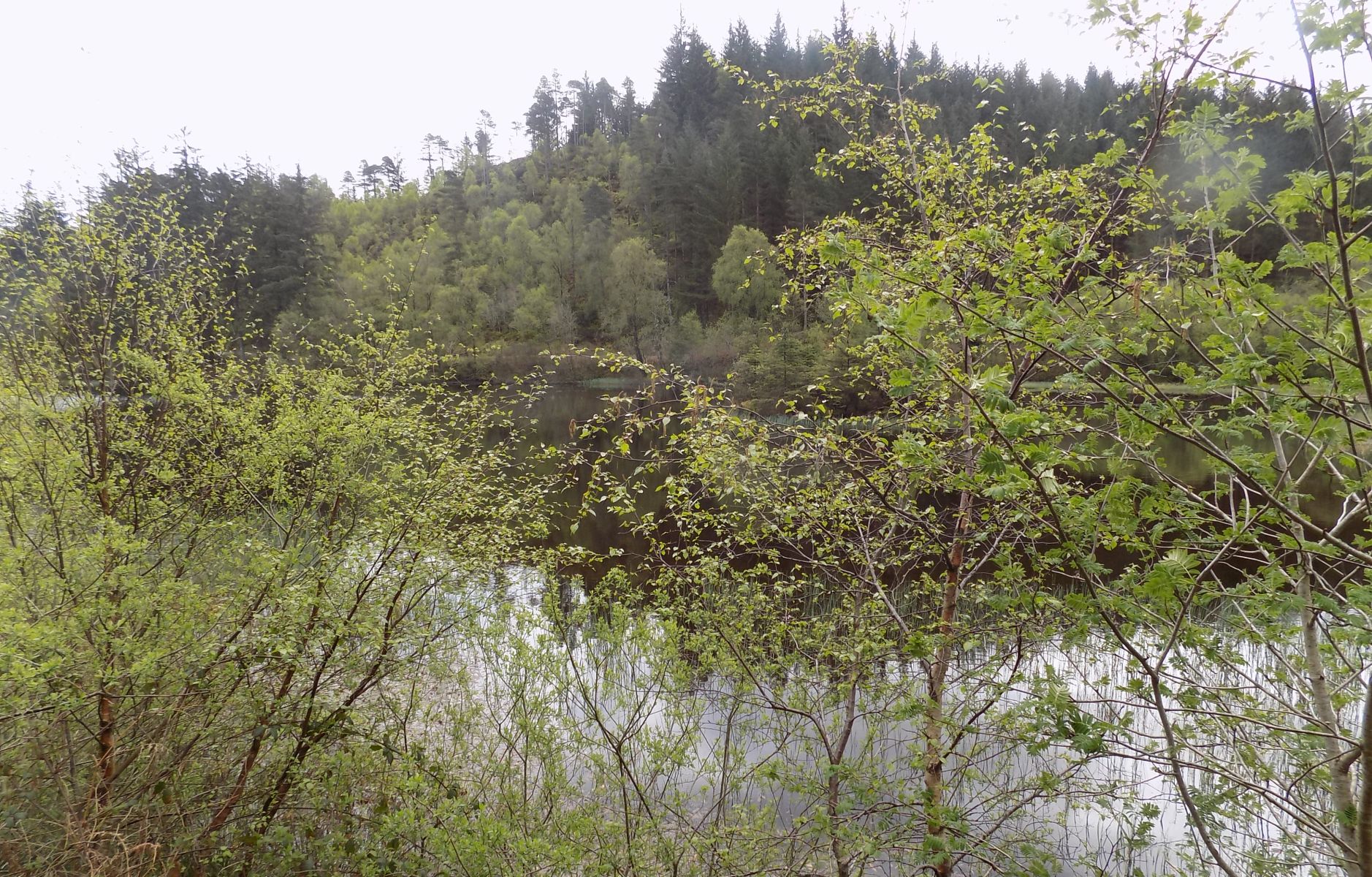 Lochan a' Ghleannain